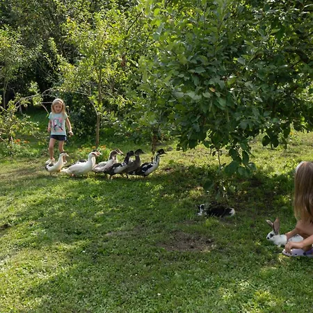 Grabnicka Arkadia Holiday home Stare Juchy